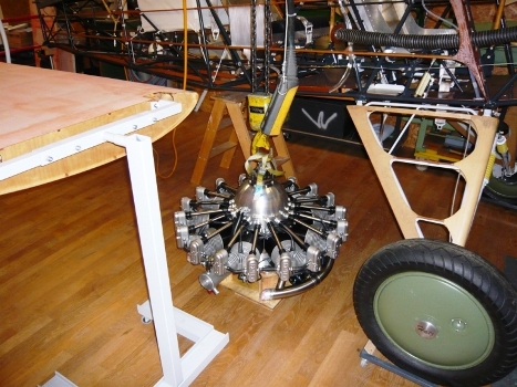 P1090580-1.jpg